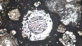 Scientists date the origin of Jupiter by studying ancient droplets