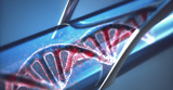 Breakthrough Helps Expand Genetic Alphabet