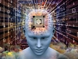 Sandia National Lab takes delivery of Intel's latest brain in a box