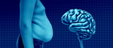Scientists Discover “Meal Memory” Neurons That Control When and How Much We Eat