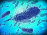 4th Victim Dies From Legionnaires' Disease Outbreak In Manhattan, Officials Say