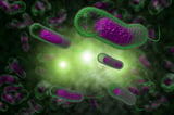 How AI and Genomics Unraveled Cholera’s Deadly Secrets