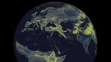 Fungi take up more mass than people—see how they stretch across the Earth