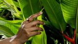 Verizon Announces Partnership With First Smart Ring, Ultrahuman Ring AIR