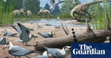 Birds were nesting in the Arctic during age of dinosaurs, scientists discover
