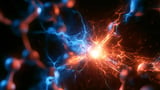 Scientists finally see how nature moves energy so efficiently