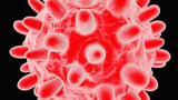 A new breakthrough offers hope for a ‘functional cure’ of hepatitis B