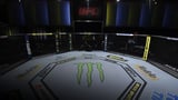 UFC cast-off reportedly targeted in alleged assassination plot