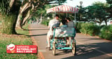 Baby bonus & large families support scheme to be replaced by new S$62,000 support package per child