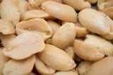 A peanut a day could keep allergy at bay, academics find
