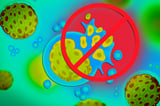 Biologists identify a cellular pathway that allows colorectal cancer to metastasize