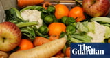 Labour backs plans for £15m fund to distribute surplus food from farms