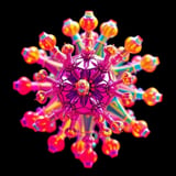Scientists Unveil New Structural State of Matter Exhibiting Exotic