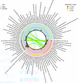 Distinct placental gene expression in males and females could shed light on pregnancy outcomes