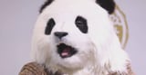 AI powered filmmaking technologies showcased at cultural industries fair in Shenzhen