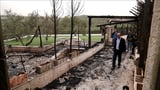 Illegal Israeli settlers burn Palestinian farmland, build settlement outpost in occupied West Bank