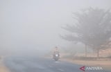 Indonesia Wildfires Spread Toxic Haze, Forcing East Timor School Closures