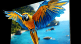 Hisense Unveils U7Q Mini-LED TV Series In India