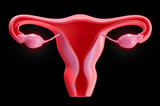 Cracking the code of ovarian aging
