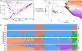 Unlocking the secrets of salt stress tolerance in wild tomatoes