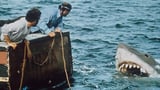Box Office: ‘Weapons’ Wins Quiet Labor Day With $12.4M, ‘Jaws’ Beats ‘Caught Stealing,’ ‘The Roses’
