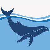Conservation Groups Hail Quick Marine Life Review