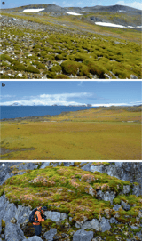 Sustained greening of the Antarctic Peninsula observed from satellites