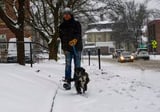 Hardy souls across New England shoveling out after major snow storm