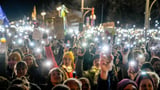 What is the 'firewall' against the far-right Alternative for Germany party?