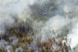 Sonoma County wildfire shuts down stretch of Highway 1