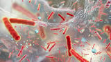 Harnessing AI to generate patterns of antibiotic resistance in real time