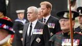 Prince Harry, Prince Andrew royal titles future 'uncertain'