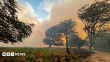 Crews still tackling New Forest fire that spread from van on A31