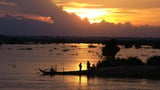 Hundreds of new species found living along Mekong River