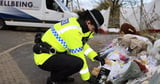 Everything we know about baby Ava after newborn girl found dead in snowy field
