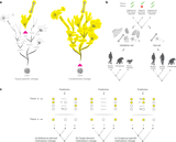 Inferring DNA methylation in non-skeletal tissues of ancient specimens