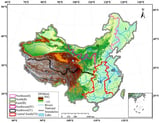 Variations of Terrestrial Net Ecosystem Productivity in China Driven by Climate Change and Human Activity from 2010 to 2020