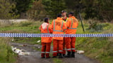 Men missing after car crashes in river