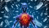 The hidden pandemic within the pandemic: How COVID-19 impacted sepsis – and what comes next