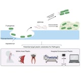 Pseudomonas aeruginosa clinical isolates can encode plastic-degrading enzymes that allow survival on plastic and augment biofilm formation