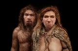 New DNA evidence finds that Neanderthals didn't go extinct