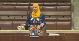 Tania Fernandes Anderson attends first Boston City Council hearing since agreeing to plead guilty