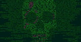 China-linked Hackers Deploy New 'UNAPIMON' Malware for Stealthy Operations