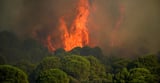 Wildfires threaten Bordeaux as France, Spain battle blazes