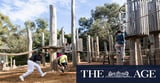Housing crisis fix should involve wood – the ‘ultimate renewable’