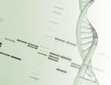 Cohesin protein protects genetic information during cell division