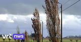 Code yellow weather warning for high winds across Flanders | VRT NWS: news