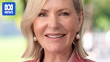 Colleen Harkin quits Liberal party a week after attending One Nation fundraiser