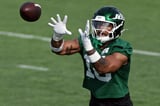 New York Jets rookie Kenyon Sadiq faces setback after offseason hernia surgery | AP News