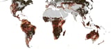 See Earth's seasons in all their complexity in a new animated map